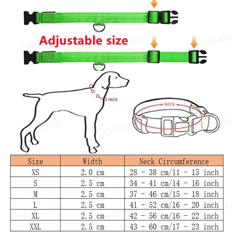 LED Dog Collar – USB Rechargeable Light-Up Collar, 3 Modes