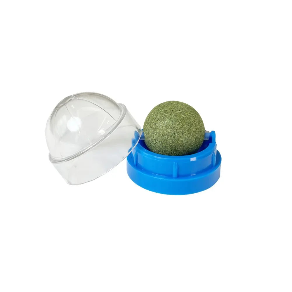 Catnip Wall Ball - Stick-On Licking Toy for Cats
