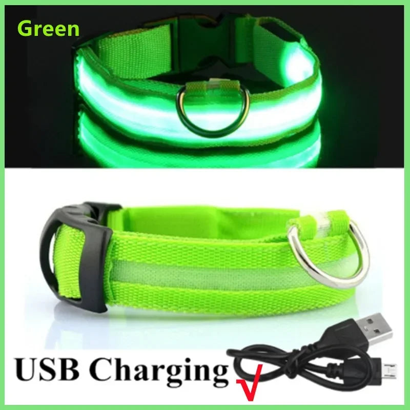 LED Dog Collar – USB Rechargeable Light-Up Collar, 3 Modes