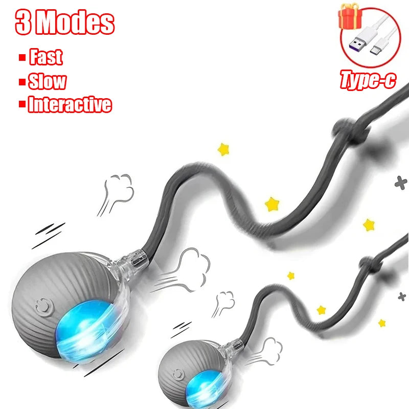 Self-Rolling Cat Ball – Rechargeable Toy with Teaser Tail