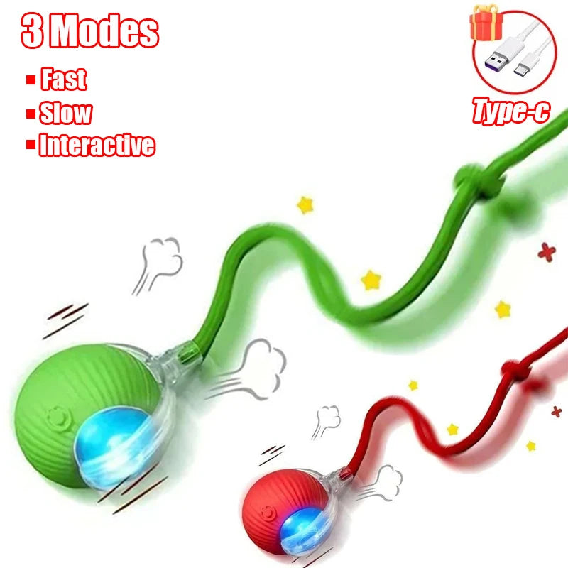 Self-Rolling Cat Ball – Rechargeable Toy with Teaser Tail