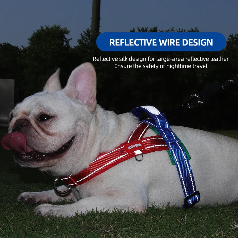 Saddle-Style Dog Harness – Soft Back Panel, No-Choke Fit for Small & Medium Dogs