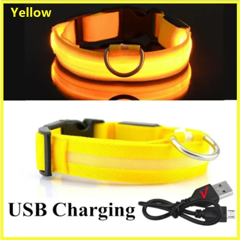 LED Dog Collar – USB Rechargeable Light-Up Collar, 3 Modes