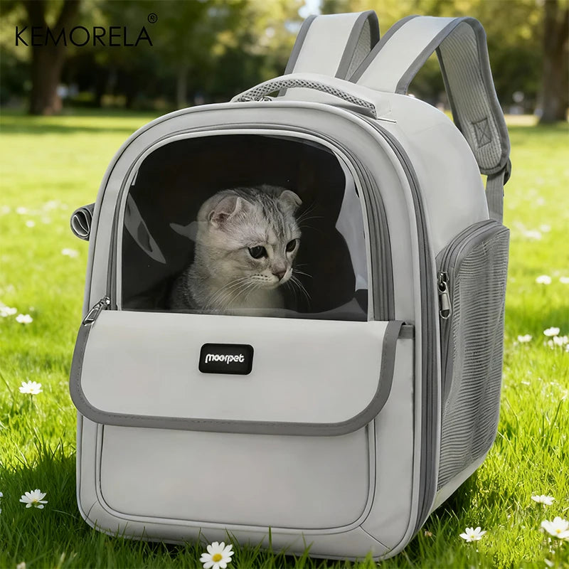 Foldable Pet Carrier Backpack – Expandable Mesh Travel Bag