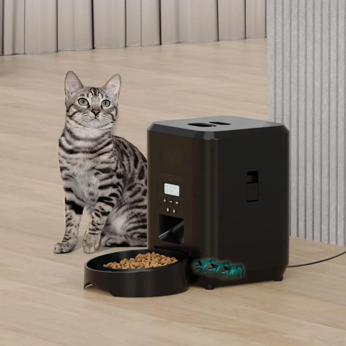 Automatic Pet Feeder – Timed Dry-Food Dispenser