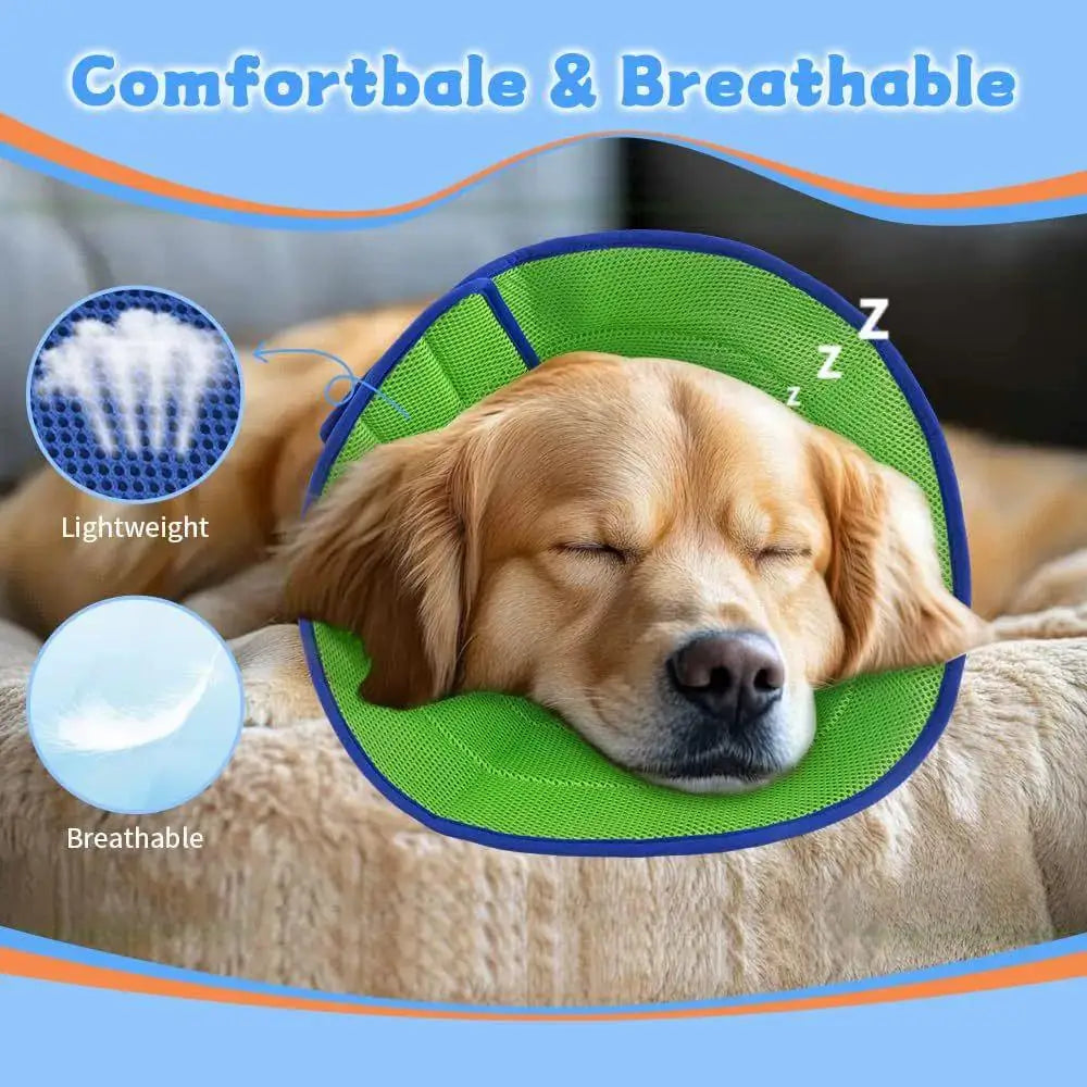 Soft Recovery Collar for Dogs & Cats