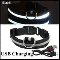 LED Dog Collar – USB Rechargeable Light-Up Collar, 3 Modes