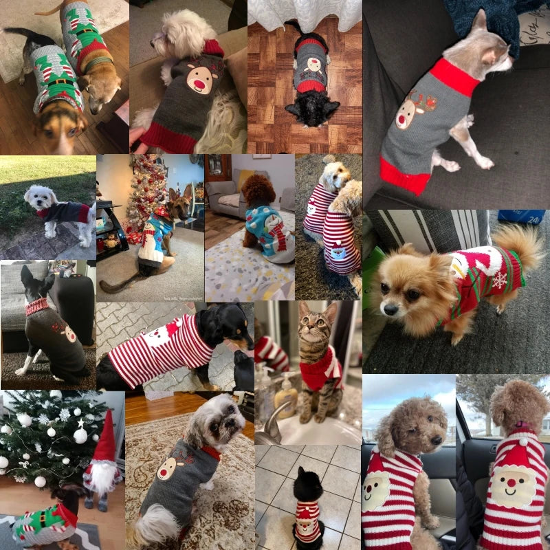 Cartoon Knit Dog Coat – Warm Winter Sweater for Small to Large Dogs