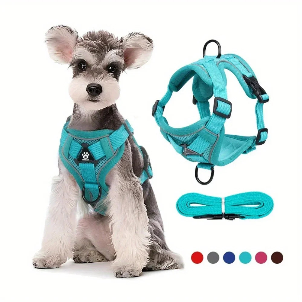 No-Pull Dog Harness & Lead Set