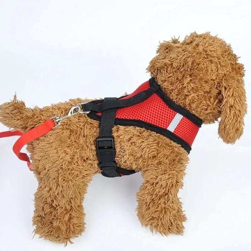 Cat Harness & Lead Set - Padded Mesh Vest
