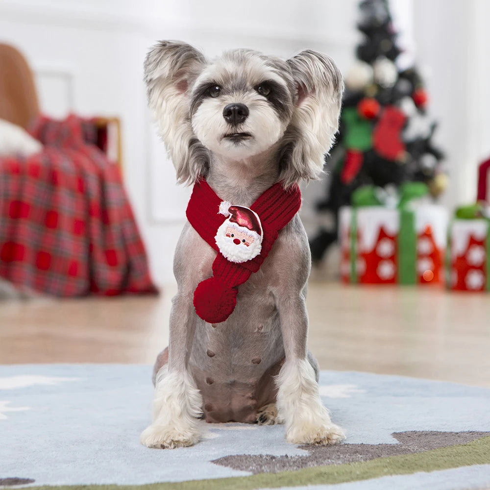 Weihnachts-Haustierschal – Weiches Winterhalstuch für Katzen und kleine Hunde