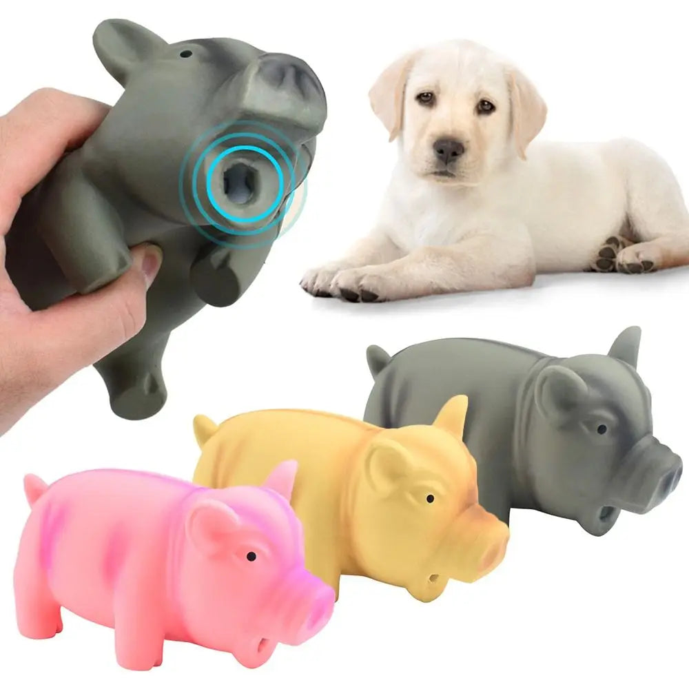 Grunting Pig Dog Toy – Soft Latex Squeaker