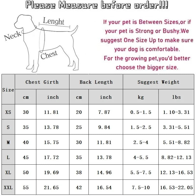 Teddybär-Hundepullover – Gestrickte Strickjacke mit Knopfleiste