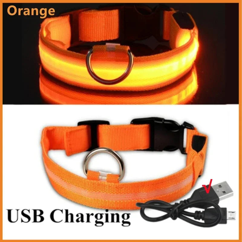 LED Dog Collar – USB Rechargeable Light-Up Collar, 3 Modes