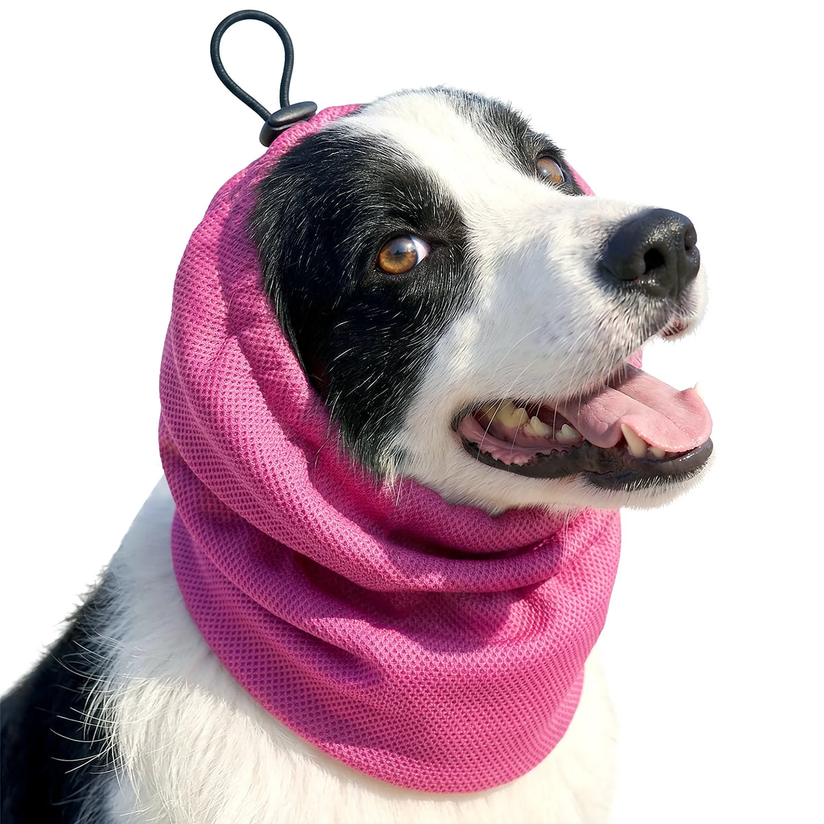 Cooling Bandana for Dogs - Evaporative Neck Wrap