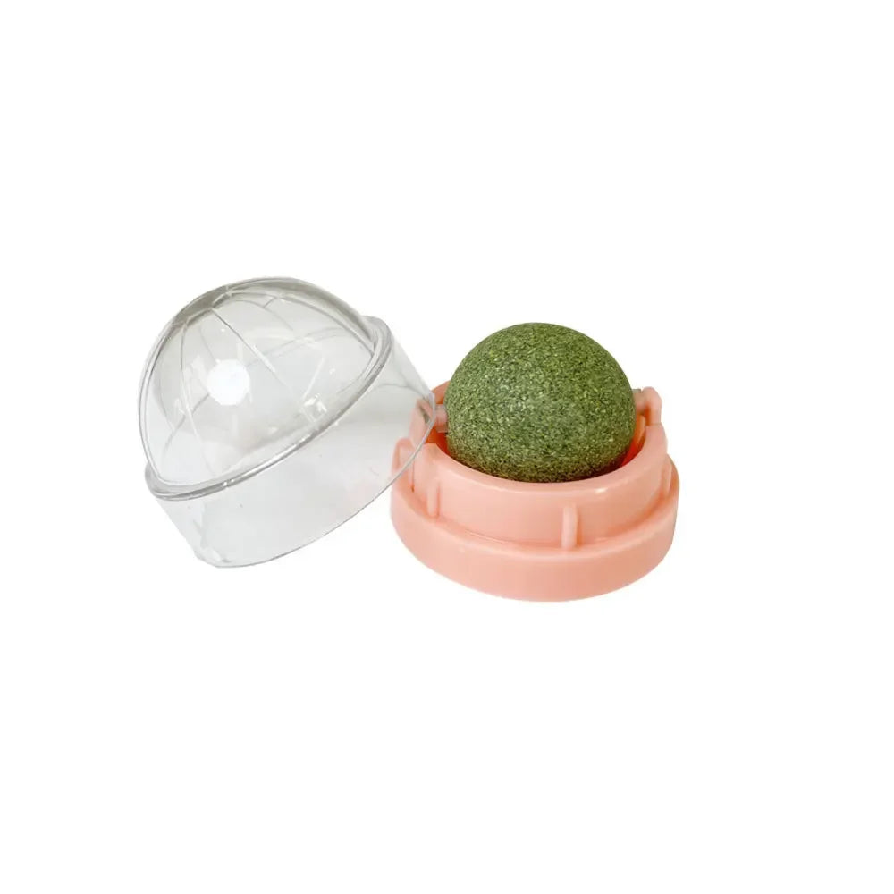 Catnip Wall Ball - Stick-On Licking Toy for Cats