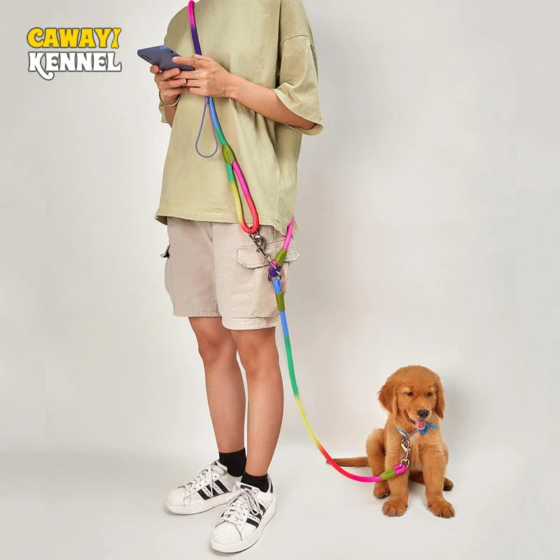 Reflective Dog Leash – Padded Handle Nylon Lead