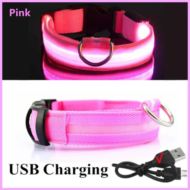LED Dog Collar – USB Rechargeable Light-Up Collar, 3 Modes