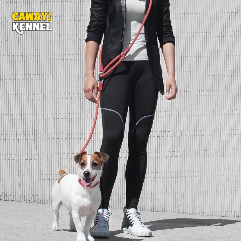 Reflective Dog Leash – Padded Handle Nylon Lead