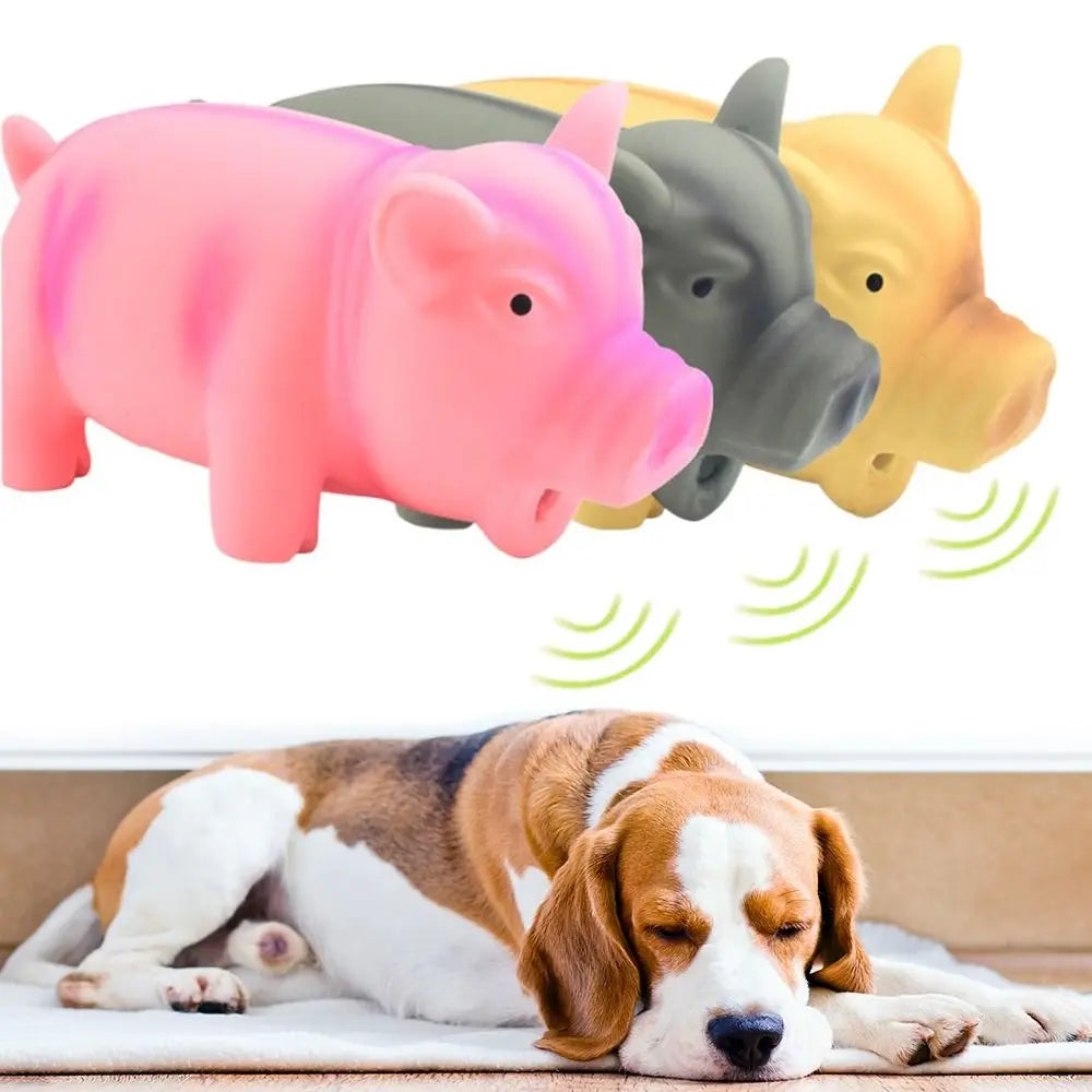 Grunting Pig Dog Toy – Soft Latex Squeaker