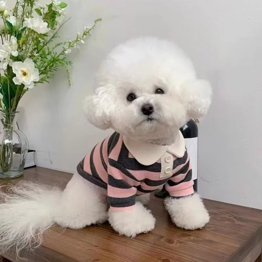 Gestreiftes Hunde-Poloshirt – Weiches T-Shirt mit Kragen für kleine Hunde