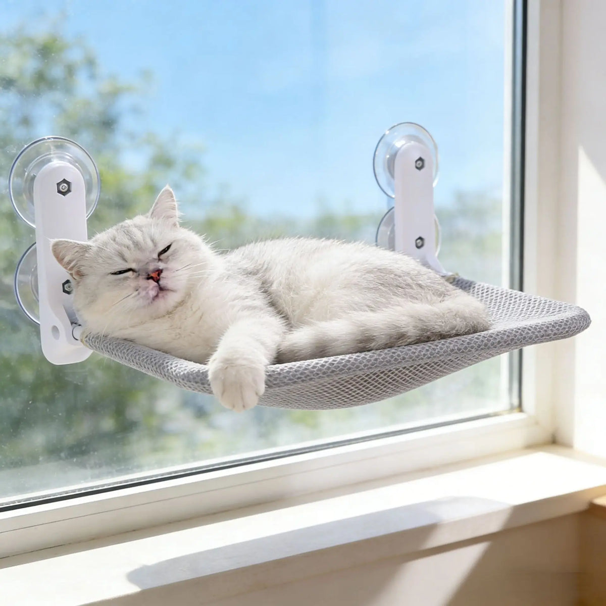 Cat Window Hammock – Suction Cup Window Bed