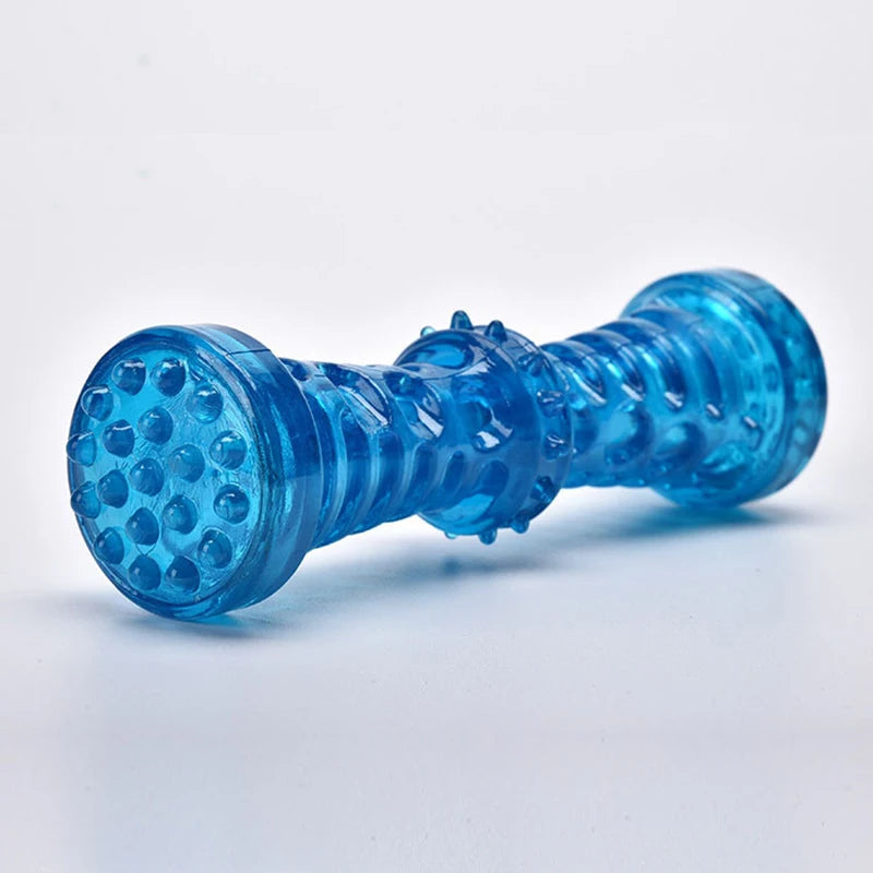 Rubber Dental Chew Bone with Squeaker