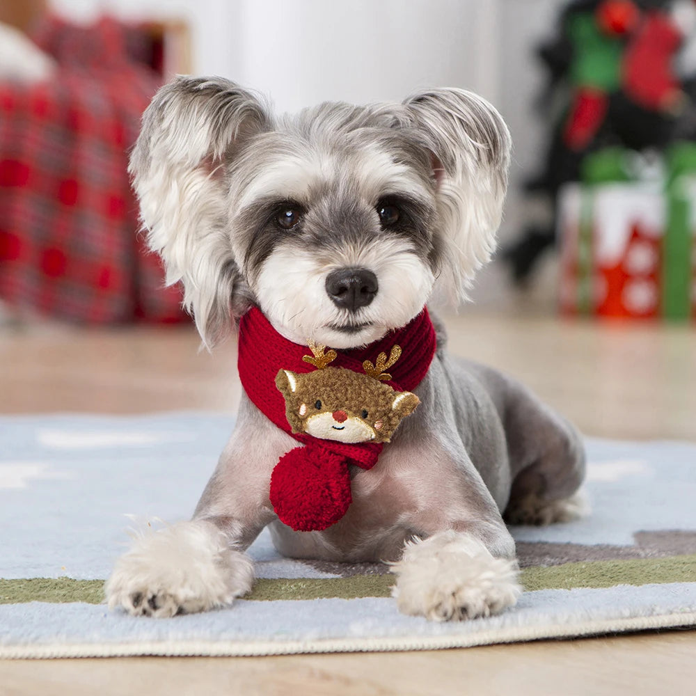 Weihnachts-Haustierschal – Weiches Winterhalstuch für Katzen und kleine Hunde
