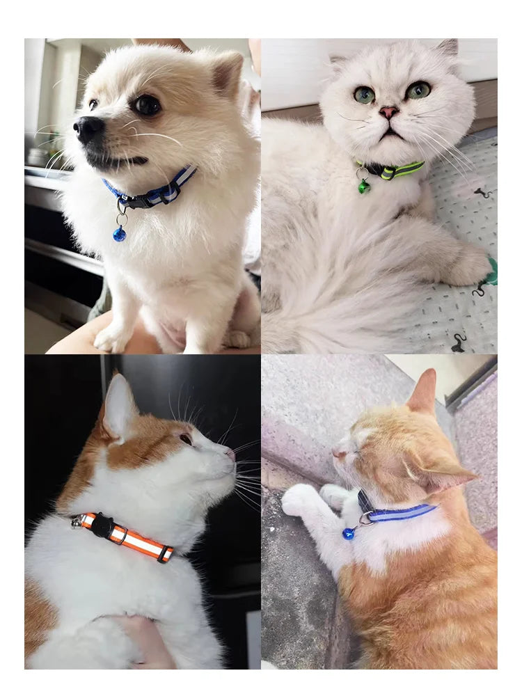 Breakaway Cat Collar with Bell - Reflective