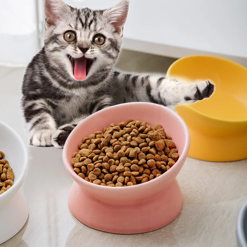 Tilted Ceramic Cat Bowl on Stand