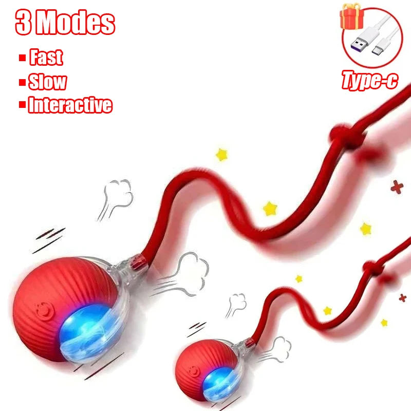 Self-Rolling Cat Ball – Rechargeable Toy with Teaser Tail