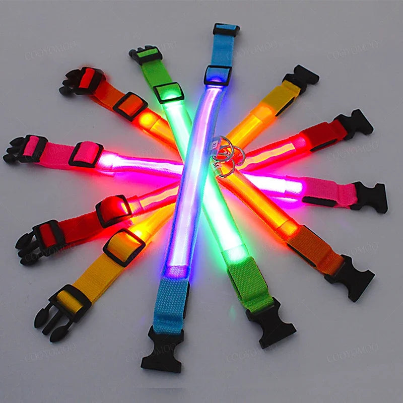 LED Dog Collar – USB Rechargeable Light-Up Collar, 3 Modes