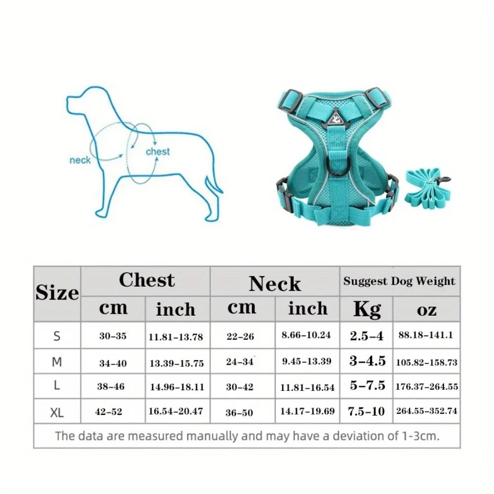 No-Pull Dog Harness & Lead Set