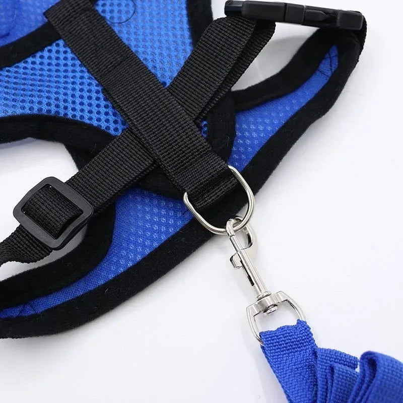 Cat Harness & Lead Set - Padded Mesh Vest