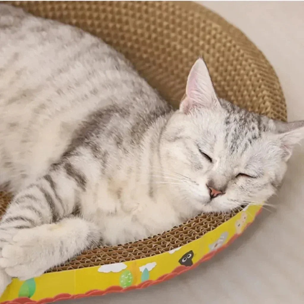 Oval Cat Scratcher Bed – Reversible Corrugated Cardboard Lounger