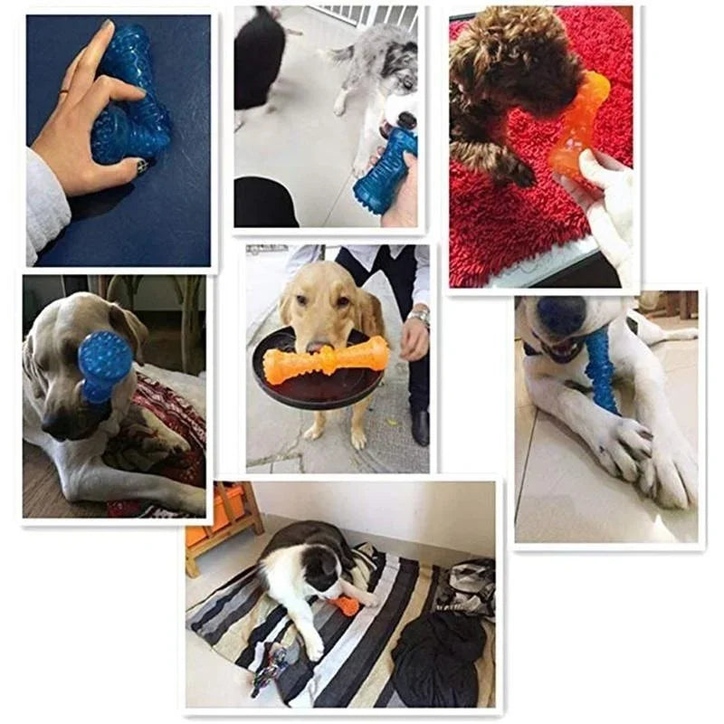 Rubber Dental Chew Bone with Squeaker