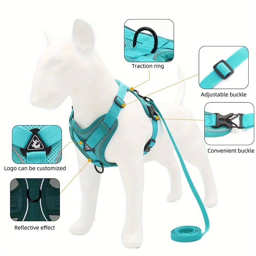 No-Pull Dog Harness & Lead Set