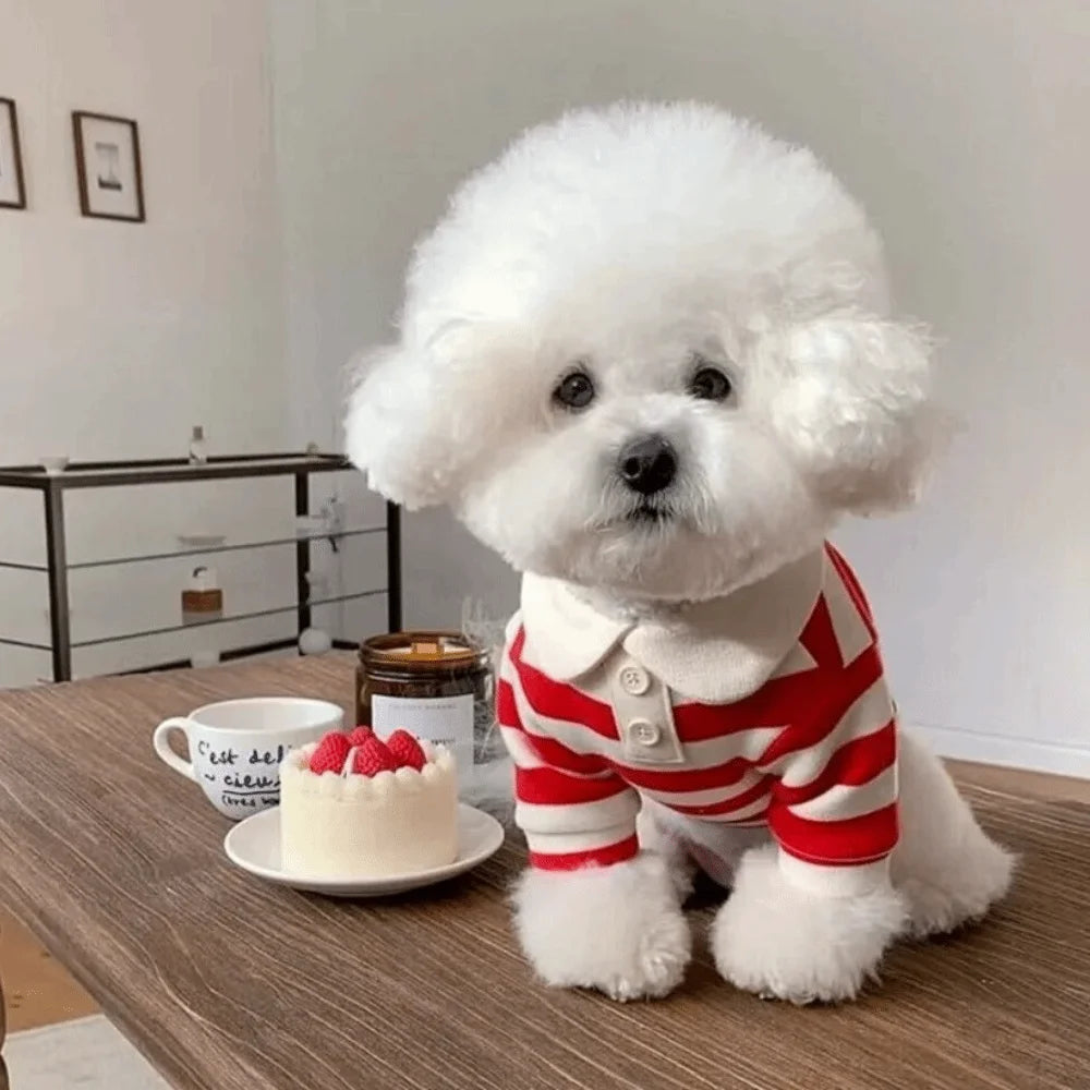 Gestreiftes Hunde-Poloshirt – Weiches T-Shirt mit Kragen für kleine Hunde