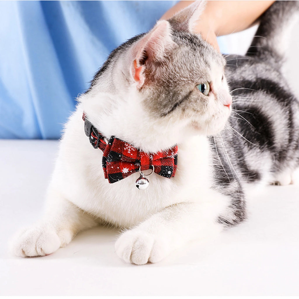 Breakaway Cat Collar with Bow Tie & Bell
