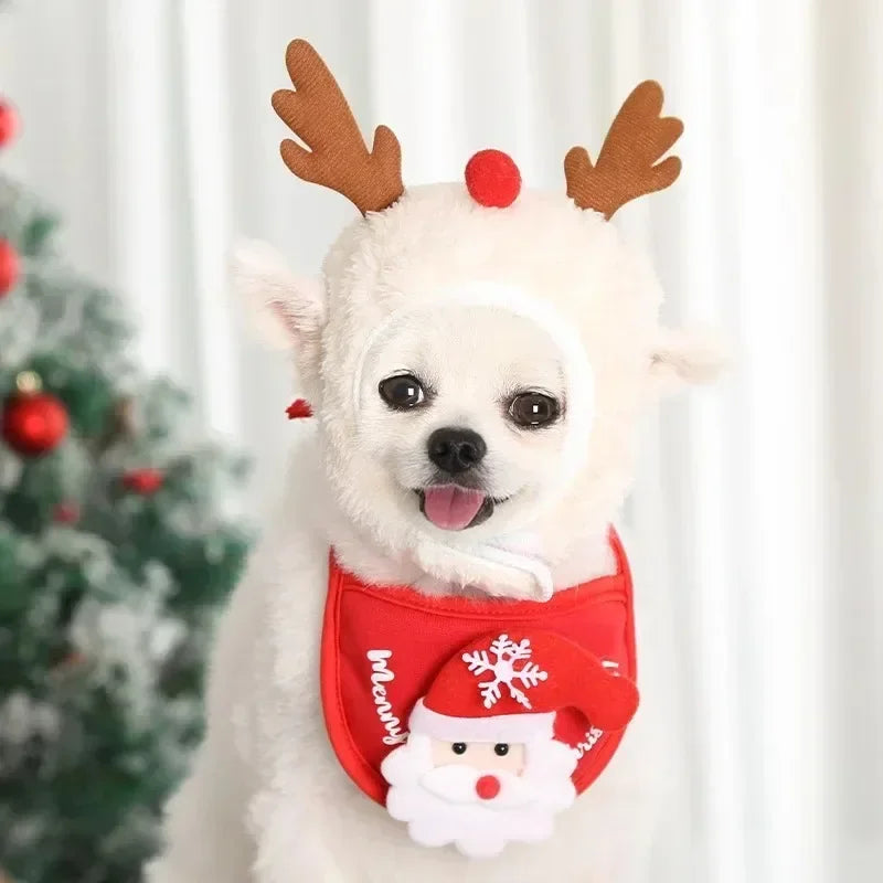 Christmas Pet Hat & Bandana Set – Festive Outfit for Cats & Small Dogs