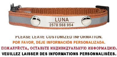 Personalisierte Katzenhalsband – Graviertes Namensschild, reflektierend mit Sicherheitsverschluss & Glöckchen