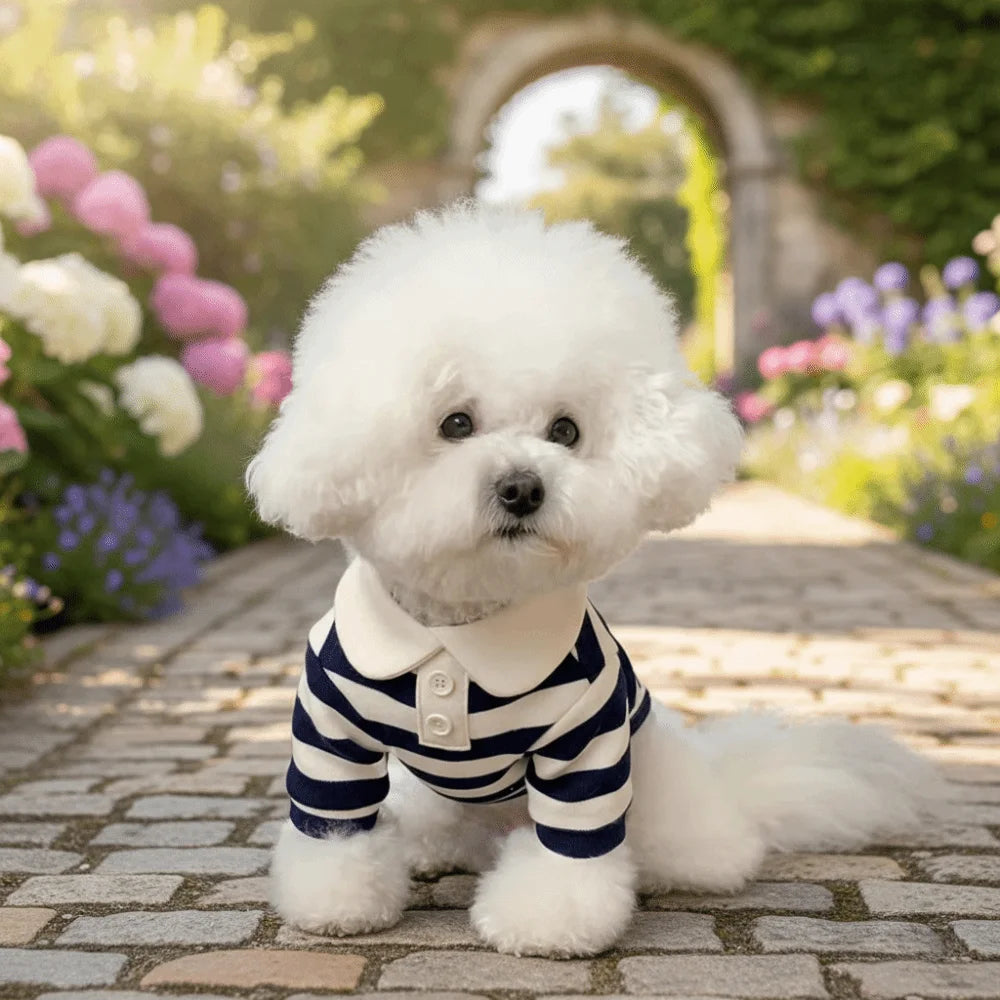 Gestreiftes Hunde-Poloshirt – Weiches T-Shirt mit Kragen für kleine Hunde