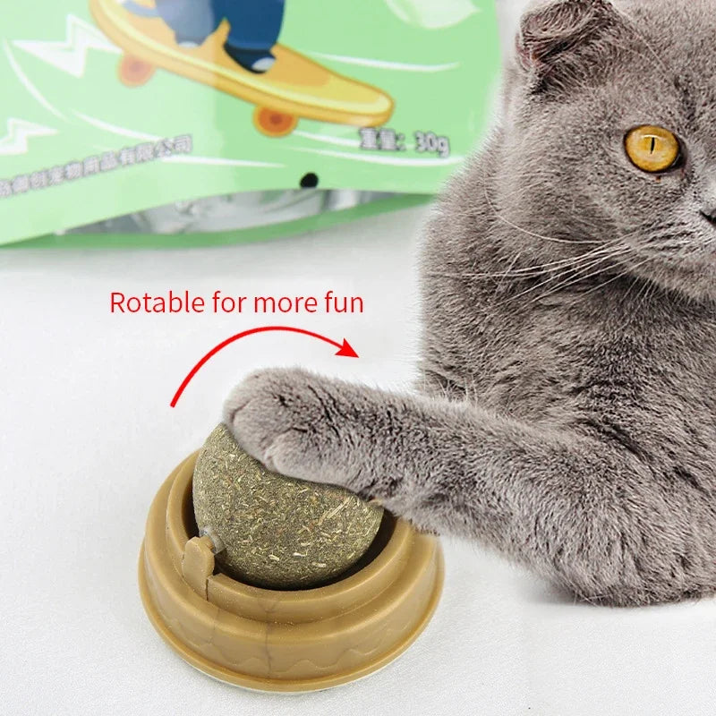 Catnip Wall Ball - Stick-On Licking Toy for Cats