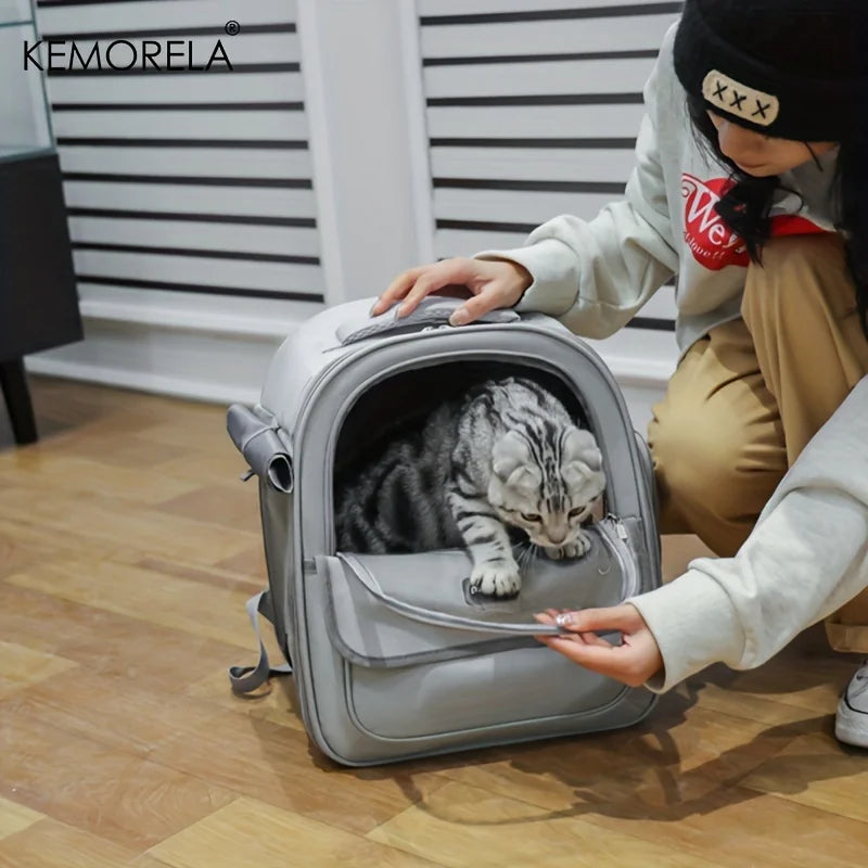 Foldable Pet Carrier Backpack – Expandable Mesh Travel Bag