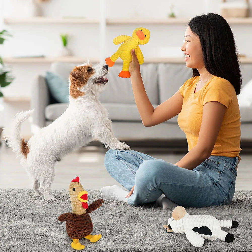 Squeaky Plush Dog Toys - Set of 5