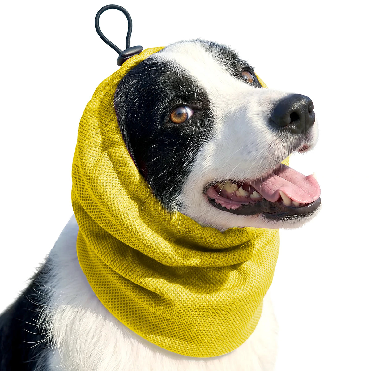 Kühlendes Hundehalstuch – Verdunstungs-Nackenkühler