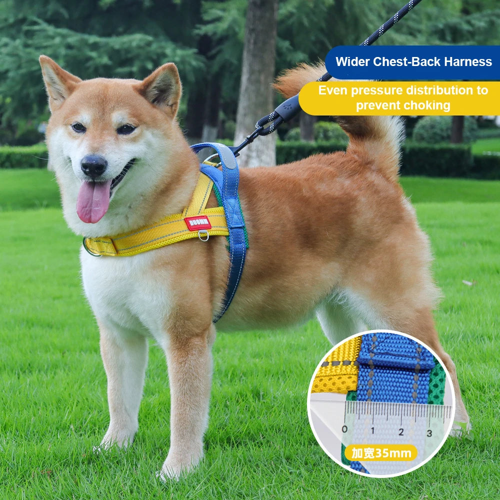 Saddle-Style Dog Harness – Soft Back Panel, No-Choke Fit for Small & Medium Dogs