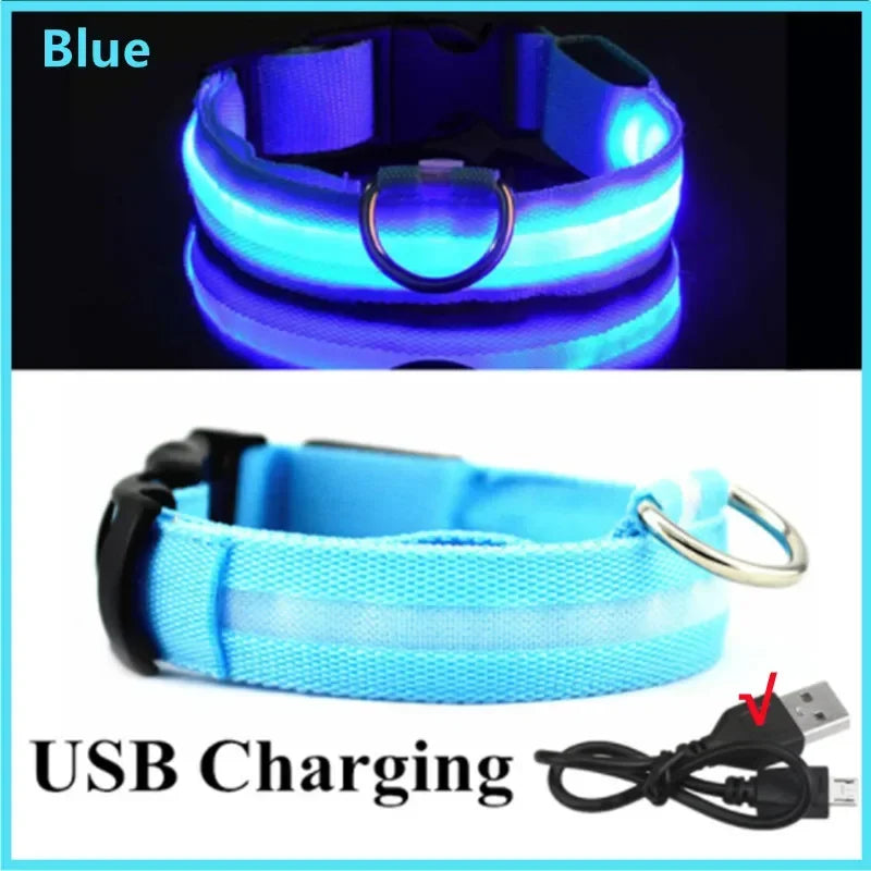 LED Dog Collar – USB Rechargeable Light-Up Collar, 3 Modes