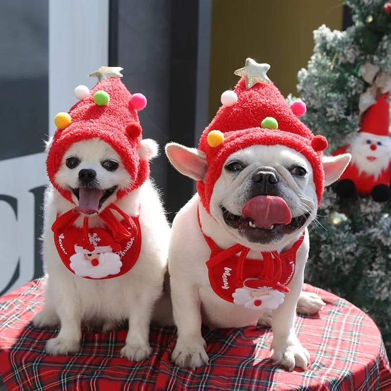 Santa Hat & Bib Set for Pets – Christmas Costume for Dogs & Cats