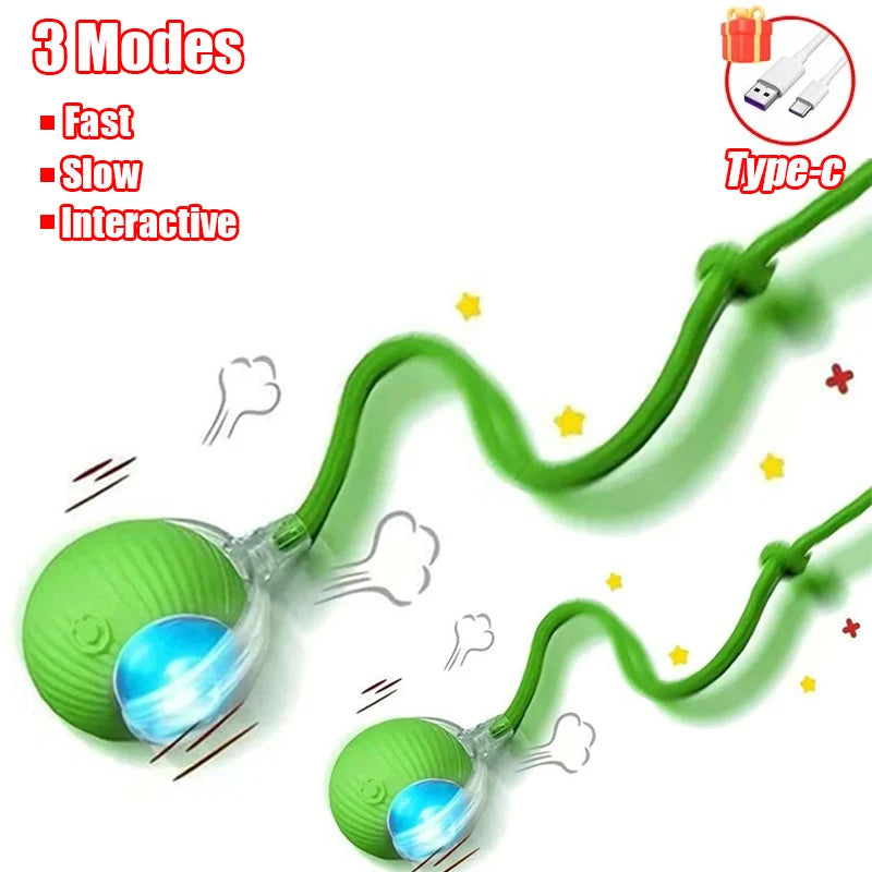 Self-Rolling Cat Ball – Rechargeable Toy with Teaser Tail